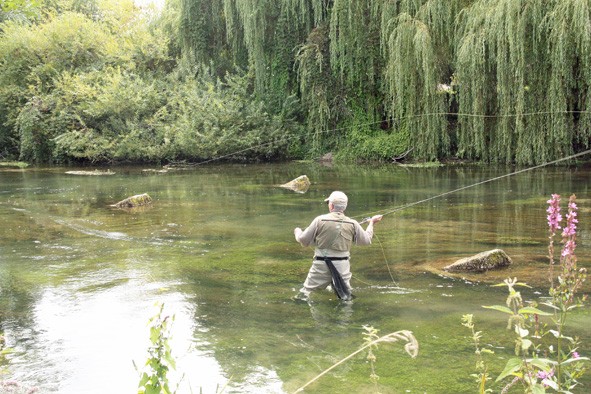 La Seine à Mussy