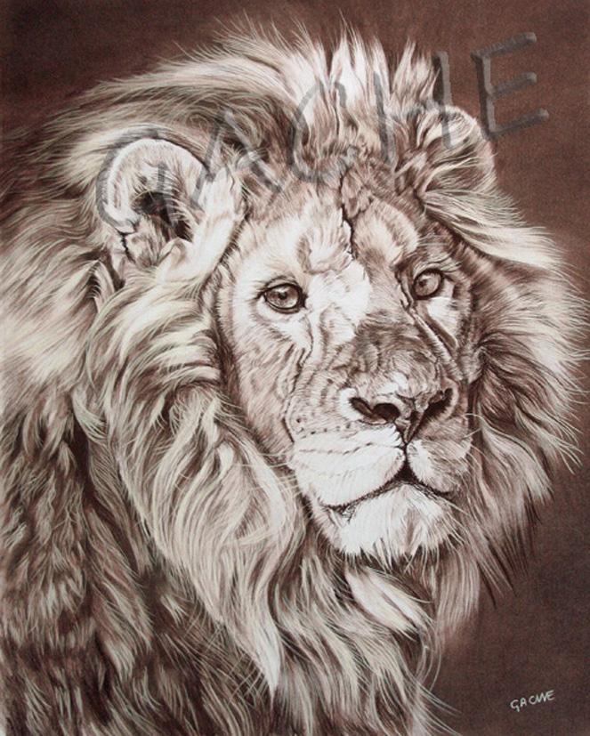 Lion01 1