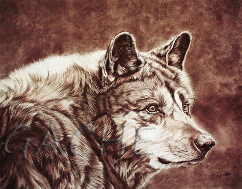 Timberwolf 2
